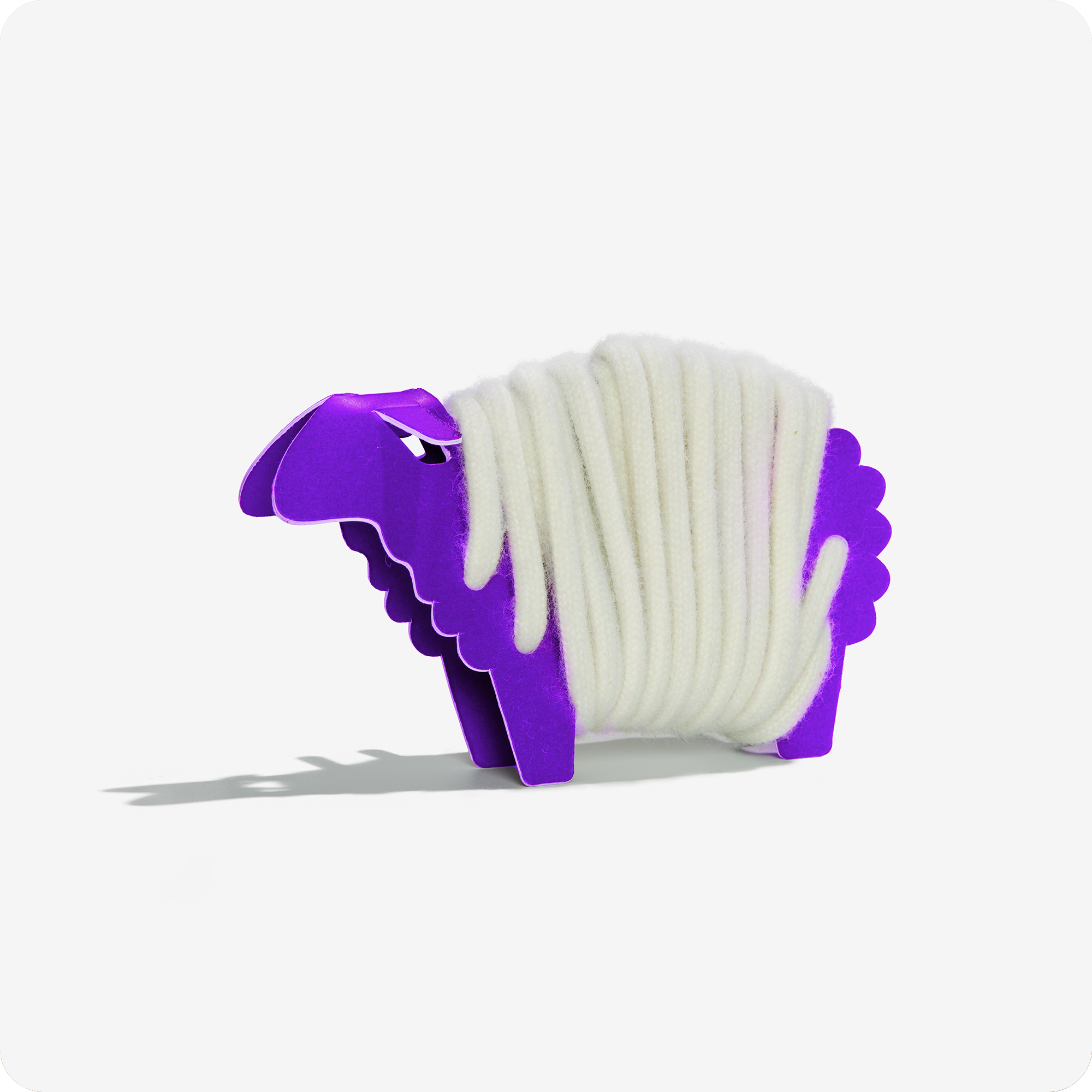 Rainbow Wool Laces made of gay sheep wool wrapped around a purple paper sheep in front of a white background.