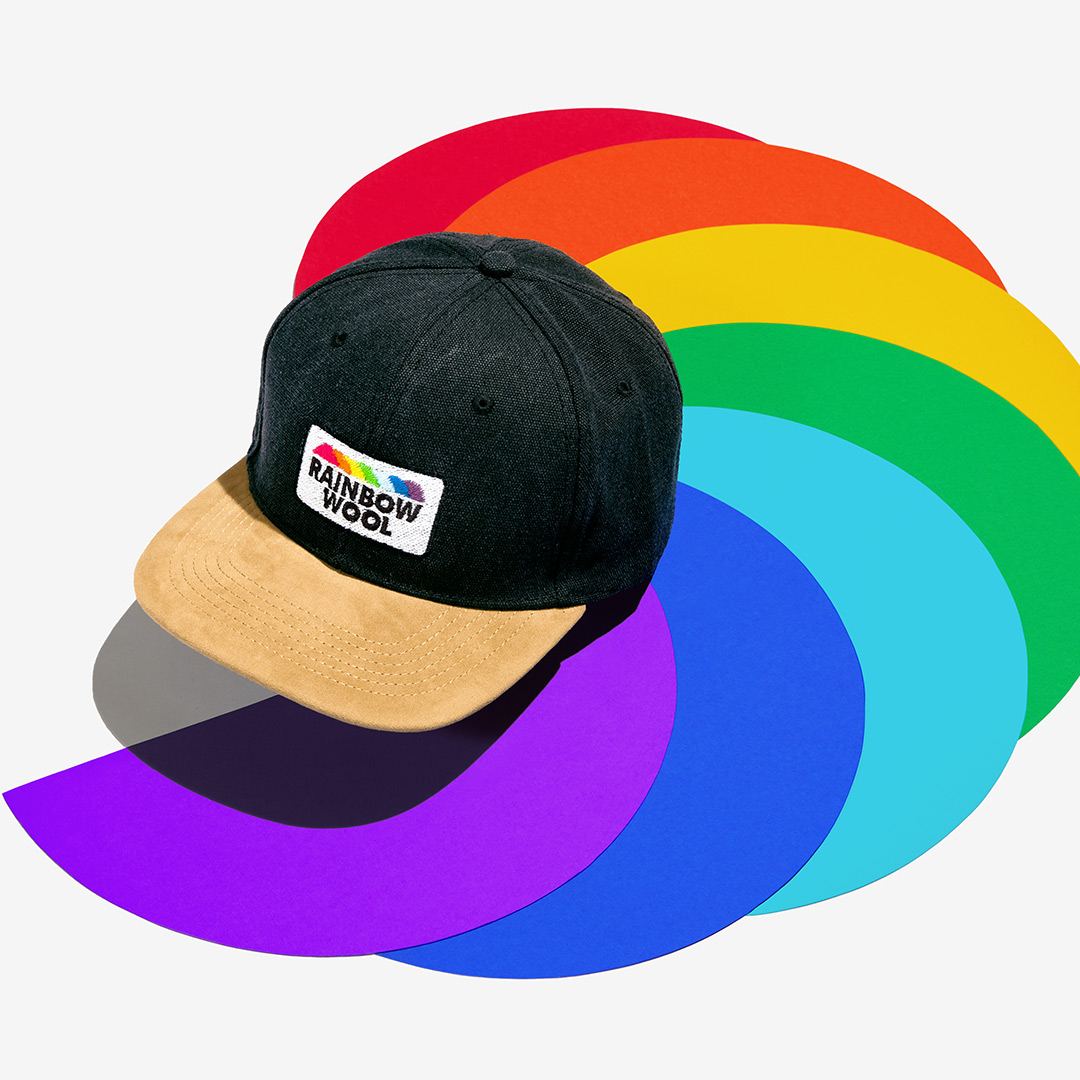 "Rainbow Wool" Skater-Cap with a logo motif made of gay sheep wool on a colorful background.