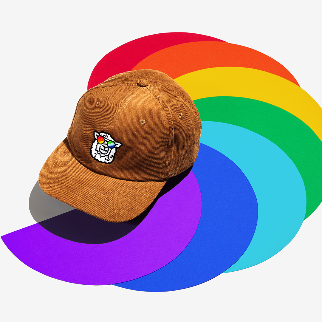 "Sunny" Corduroy Cap with a sheep motif made of gay sheep wool on a colorful background.