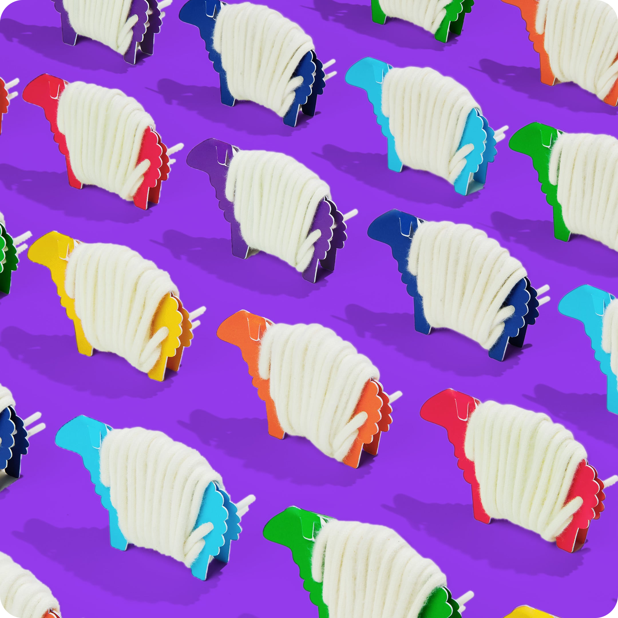 Pride fashion laces from gay sheep wool by Rainbow Wool Vibrant rainbow wool laces wrapped around colourful sheep on a purple backdrop